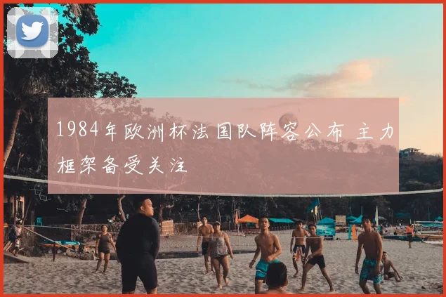 1984年欧洲杯法国队阵容公布 主力框架备受关注