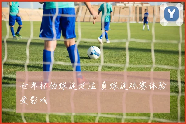 世界杯伪球迷泛滥 真球迷观赛体验受影响